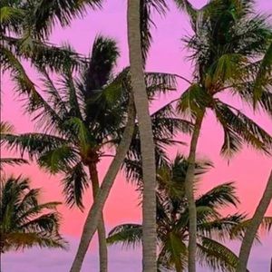 Meet your Posher, Chuck